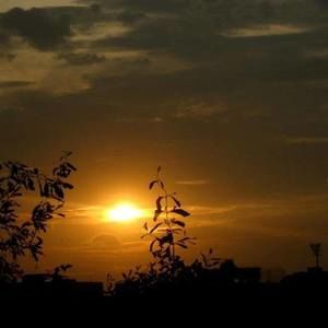 Meet your Posher, Nazia